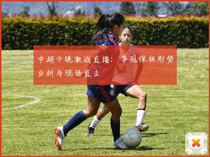 中超今晚激战直播：争冠保级形势分析与现场直击